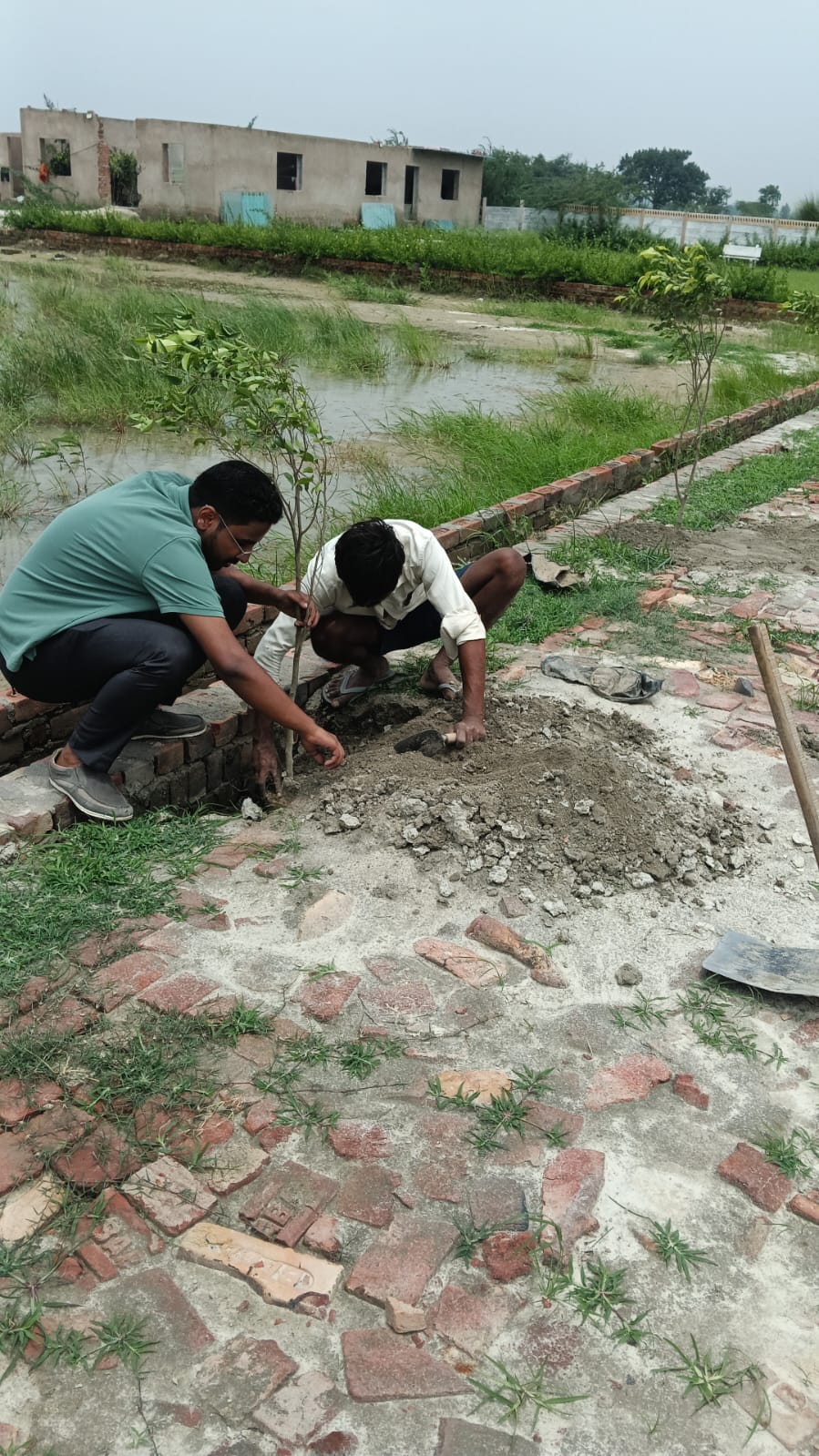 Tree plantation at Vigyan Path residential plots Lucknow